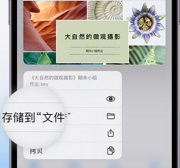 鲤城apple维修中心分享iPhone文件应用中存储和找到下载文件