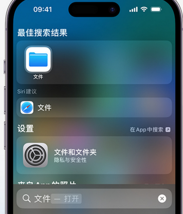 鲤城apple维修中心分享iPhone文件应用中存储和找到下载文件 