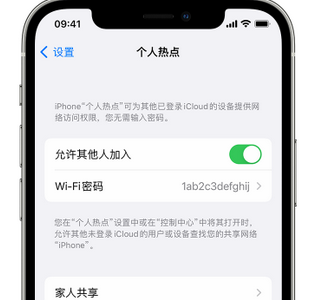 鲤城apple服务站点分享iPhone上个人热点丢失了怎么办 