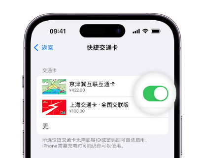 鲤城apple维修点分享iPhone上更换Apple Pay快捷交通卡手绘卡面 