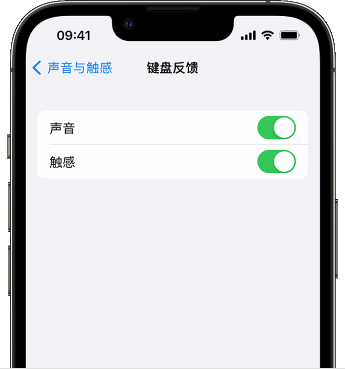 鲤城苹果14维修店分享如何在 iPhone 14 机型中使用触感键盘 