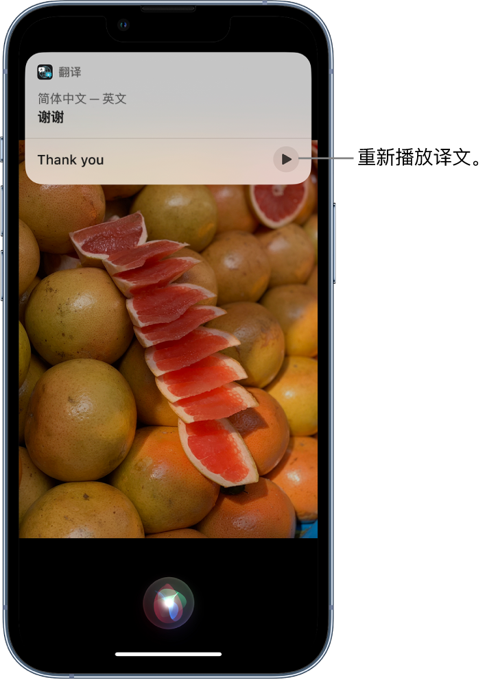 鲤城苹果14维修分享 iPhone 14 机型中使用 Siri：了解 Siri 能帮你做什么 