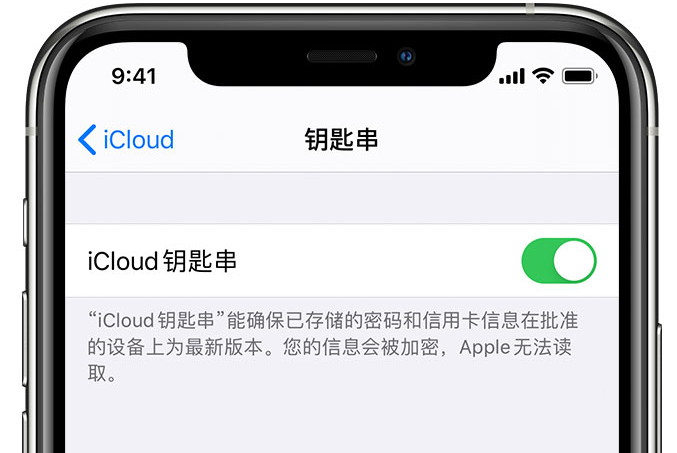 鲤城苹果手机维修分享在 iPhone 上开启 iCloud 钥匙串之后会储存哪些信息 