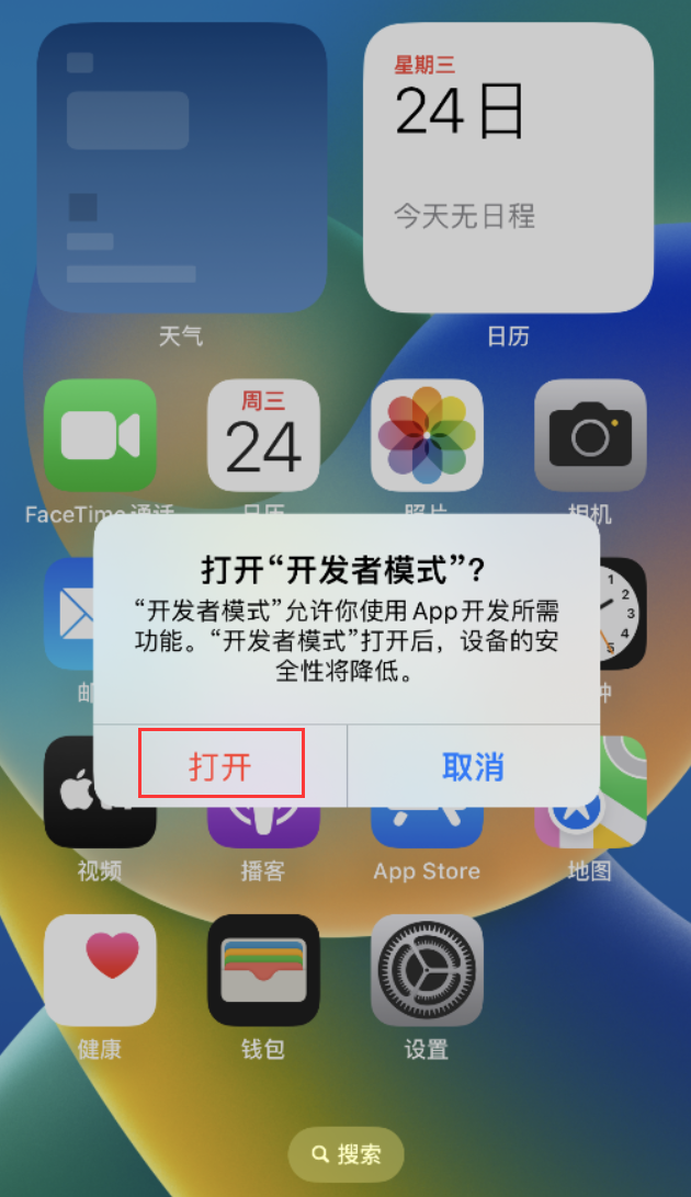 鲤城苹果手机维修分享如何打开开发者模式 