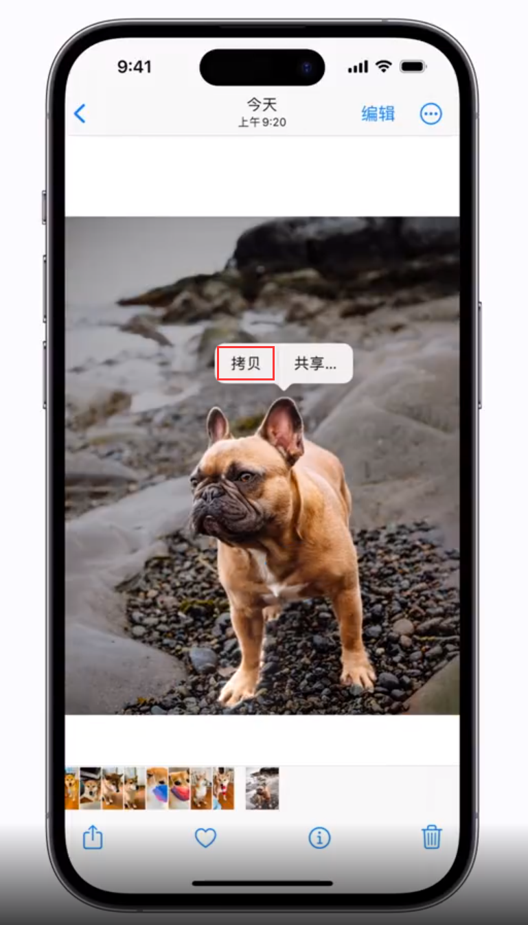 鲤城苹果手机维修分享 iOS 16 自带一键抠图功能 