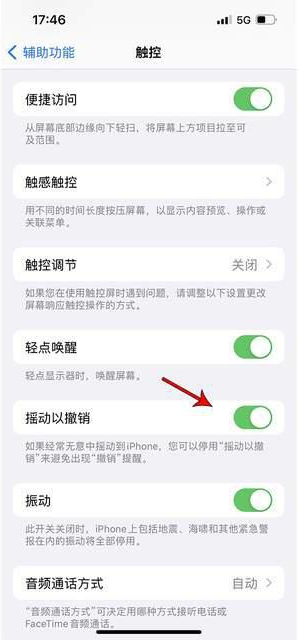 鲤城苹果手机维修分享iPhone手机如何设置摇一摇删除文字 