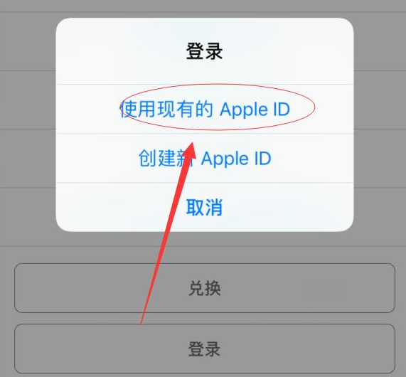 鲤城苹果手机维修分享两台iPhone设备可以同时登录一个Apple ID吗 