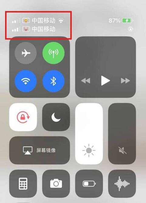 鲤城苹果手机维修分享为 iPhone 12 双卡设置标签 