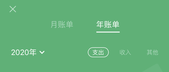 鲤城苹果手机维修分享如何在 iPhone 上查看支付宝和微信年支出账单 