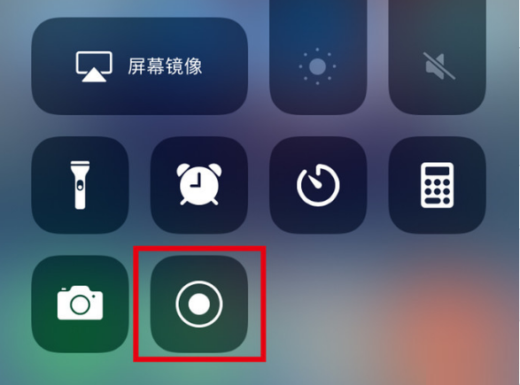 鲤城苹果手机维修分享iPhone12录屏方法教程 
