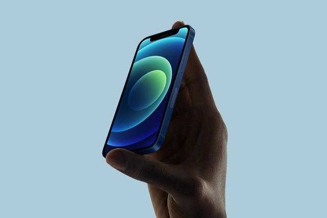 鲤城苹果手机维修分享iPhone 12 mini辐射很大吗 