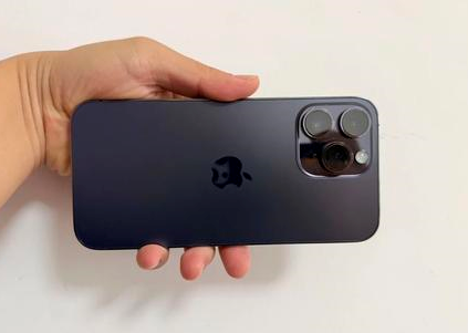 鲤城苹果维修点分享iPhone 14 Pro Max黑屏少见故障盘点 